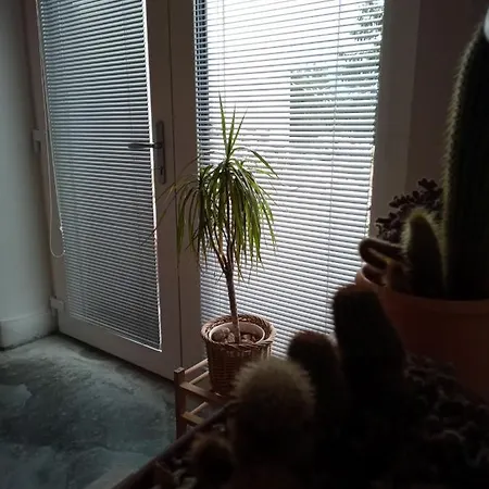 Apartman *